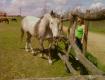 Balra ló, jobbra Réka. Csak nem tudom melyik volt elkerítve... :):):):):)
